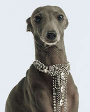 Image without a name