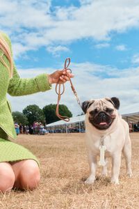 Ivory metal bone key ring