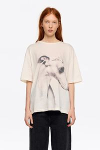 Ivory greyhound logo T-shirt