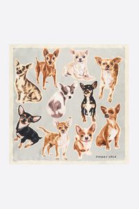 Chihuahuas grey scarf