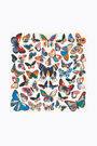 Ivory large butterflies scarf Ivory large butterflies scarf