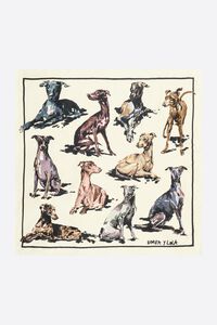 White greyhounds scarf
