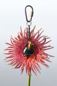 Resin conch key ring and metal key