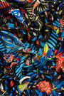 Black swans scarf Black swans scarf