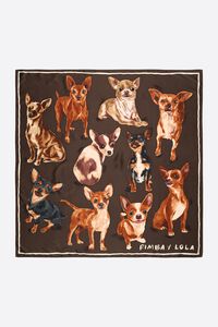 Brown Chihuahua scarf