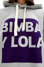 Grey hooded sweatshirt with logo Grey hooded sweatshirt with logo